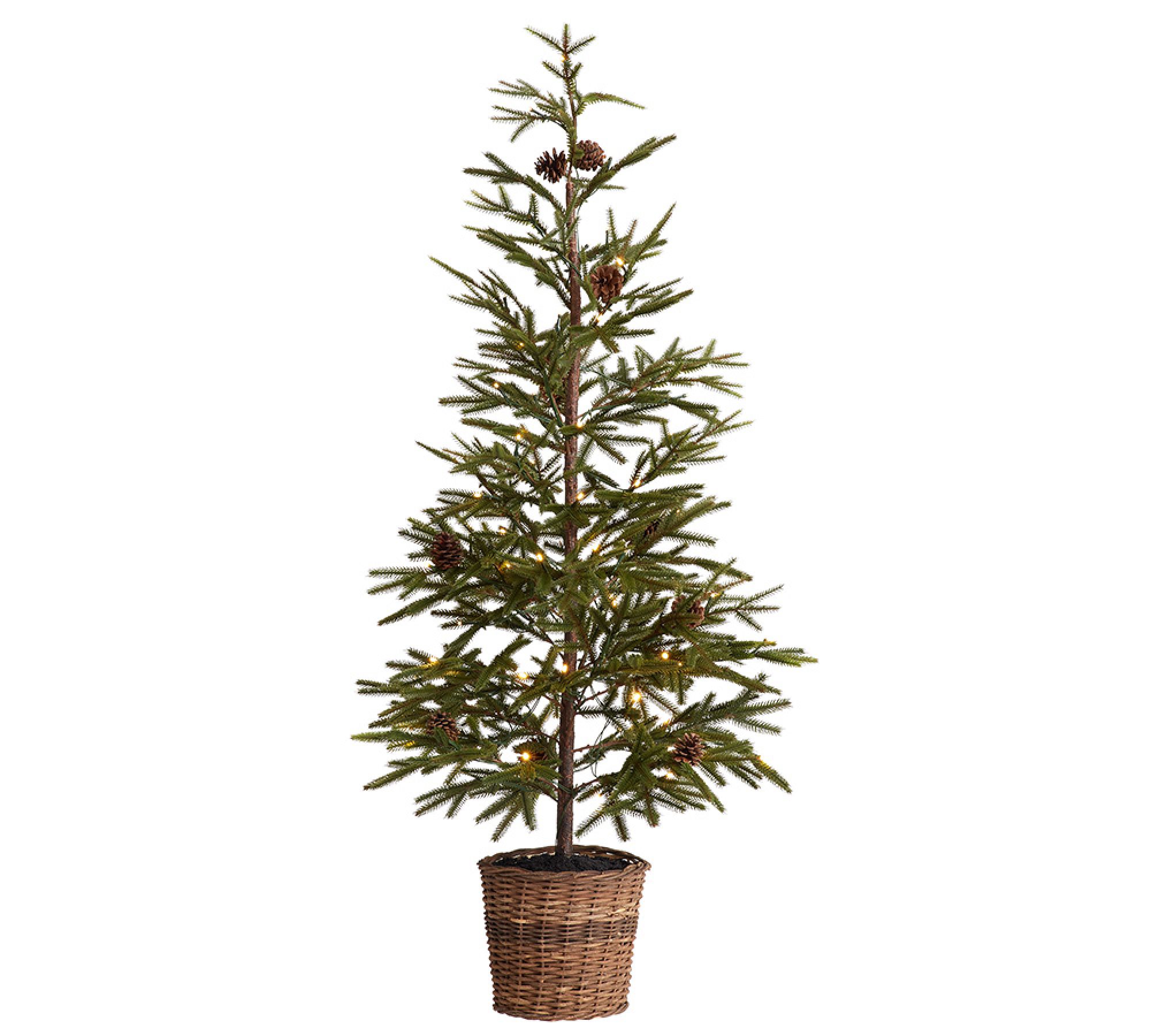 Lit Faux Pine Trees in Basket - thumbnail 4