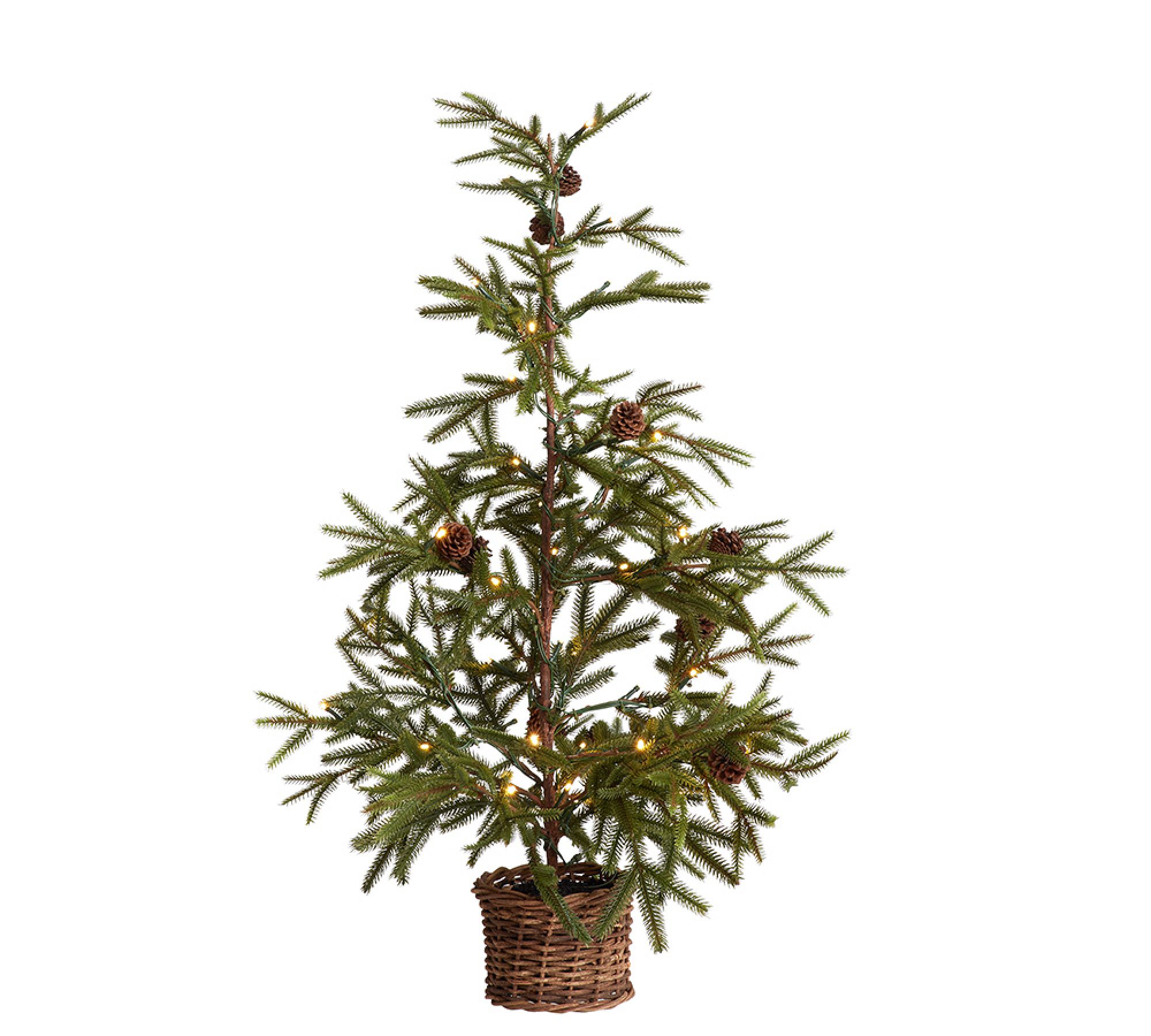 Lit Faux Pine Trees in Basket - thumbnail 3