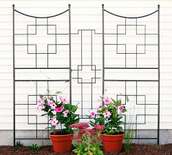 Eddy Trellis Collection