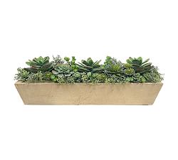 Open Box: Succulent Arrangement in Rectangular Planter - Gray