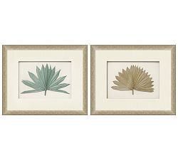 Palm Fronds