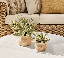Faux Potted Faded Succulent