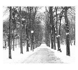 Christmas in Paris Framed Print by Rebecca Plotnick