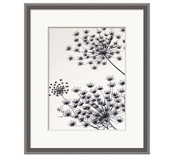 Fennel in the Wind Framed Print