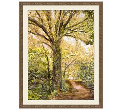 Shades of Rose Framed Print
