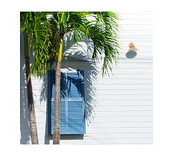 Cottage Light and Shadows Framed Print by Cindy Taylor