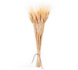 Dried Wheat Bundle