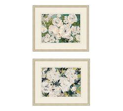Peony Garden Framed Prints