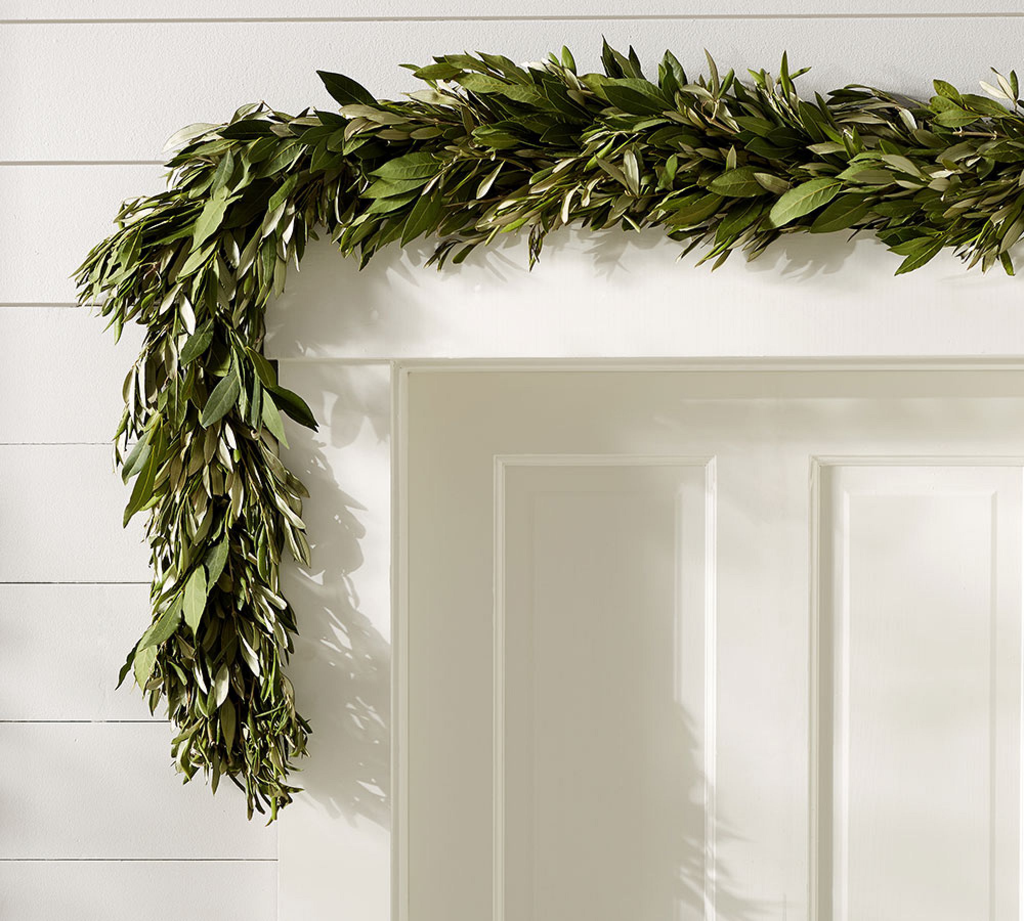 Live Olive Leaf and Myrtle Wreath & Garland