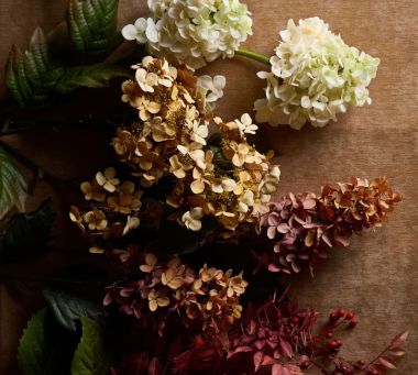 Floral Stems &amp; Branches