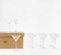 Caterer's Box Martini Glasses - Set of 12