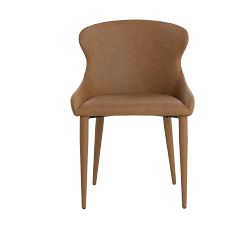 Paysen Faux Leather Dining Chair - Set of 2