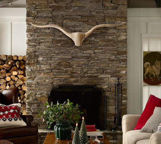 Longhorn Wall Art