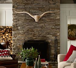 Longhorn Wall Art