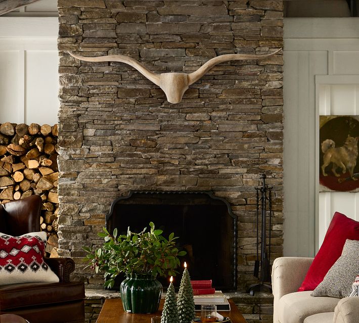 Longhorn Wall Art Mango Wood & Iron | Pottery Barn