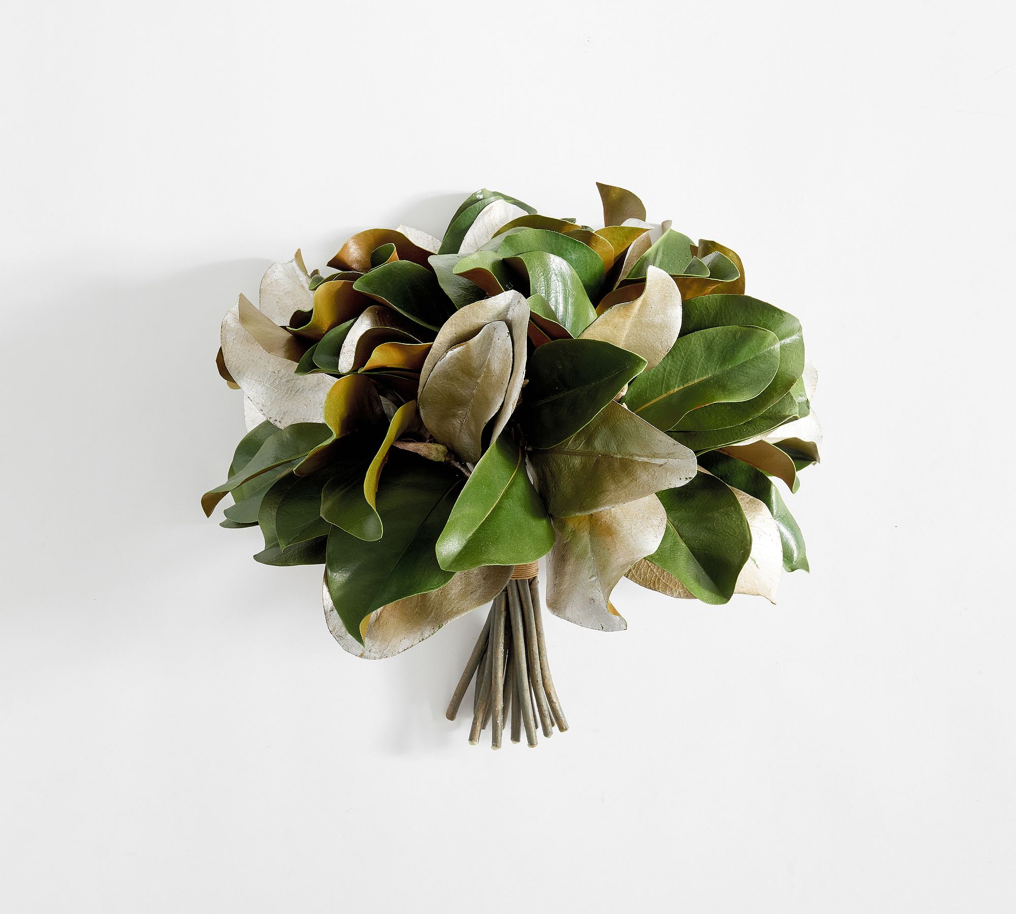Brandon Maxwell Silver Magnolia Bundle