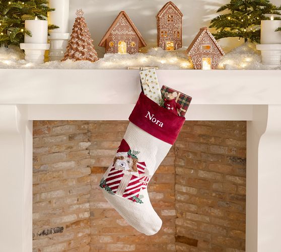 Puppy in Present Crewel Stocking