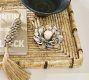 Oyster Shell Hurricane Candle Holder