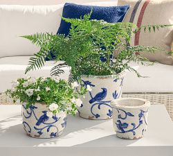Montrose Cachepots