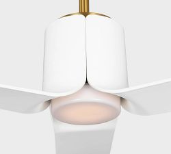 Raine Indoor/Outdoor LED Ceiling Fan (52-66")
