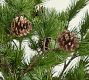 Faux Green Pine Branch