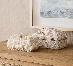 Shell Jewelry Box