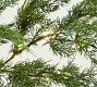 Faux Lit Green Cedar Branch