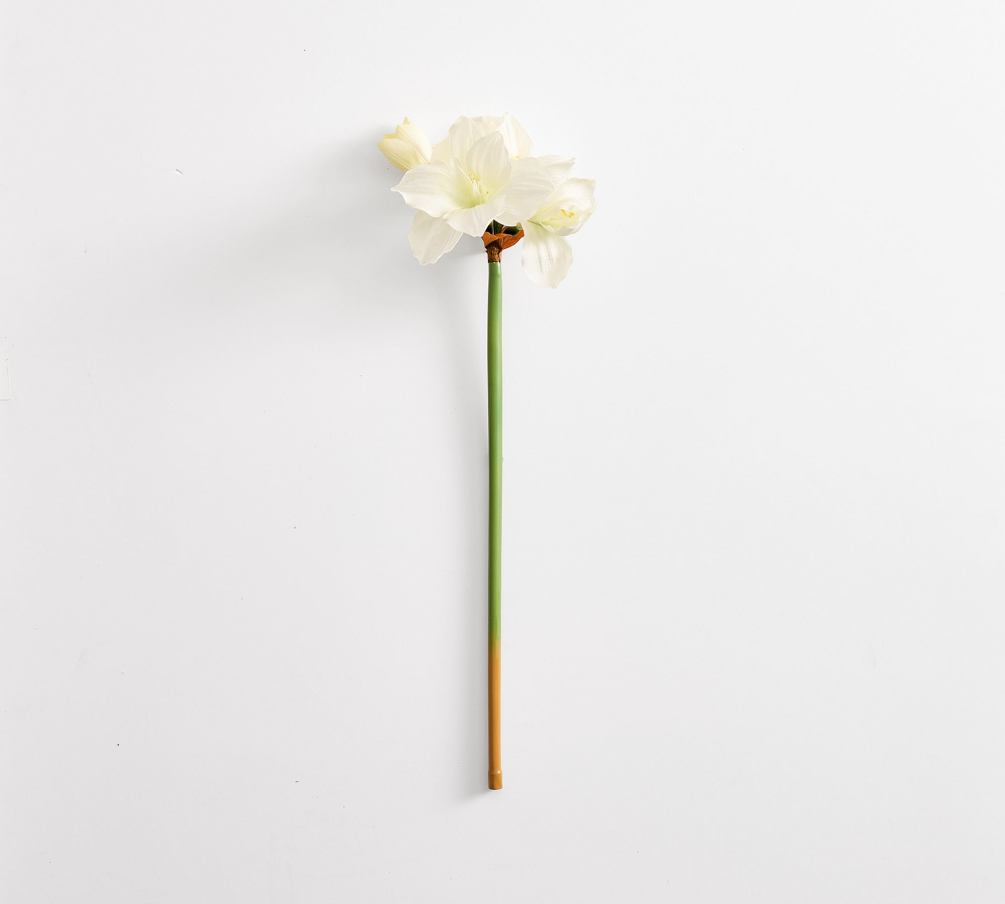 Faux Amaryllis Stem