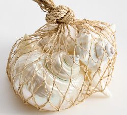 Shell Vase Filler
