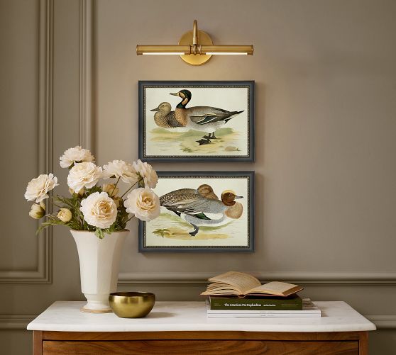 Cottage Ducks Framed Print