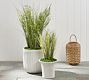 Faux Potted Grass