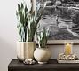 Faux Potted Faded Whale Fin