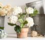 Faux Potted Hydrangea