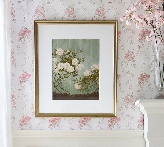 Summer Roses Framed Print by Carleigh Courey