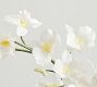 Faux Composed Orchid