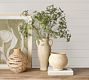 Faux Oversized Queen Anne's Lace Branch