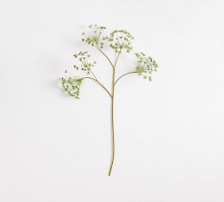 Faux Oversized Queen Anne's Lace Branch