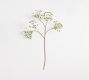 Faux Oversized Queen Anne's Lace Branch