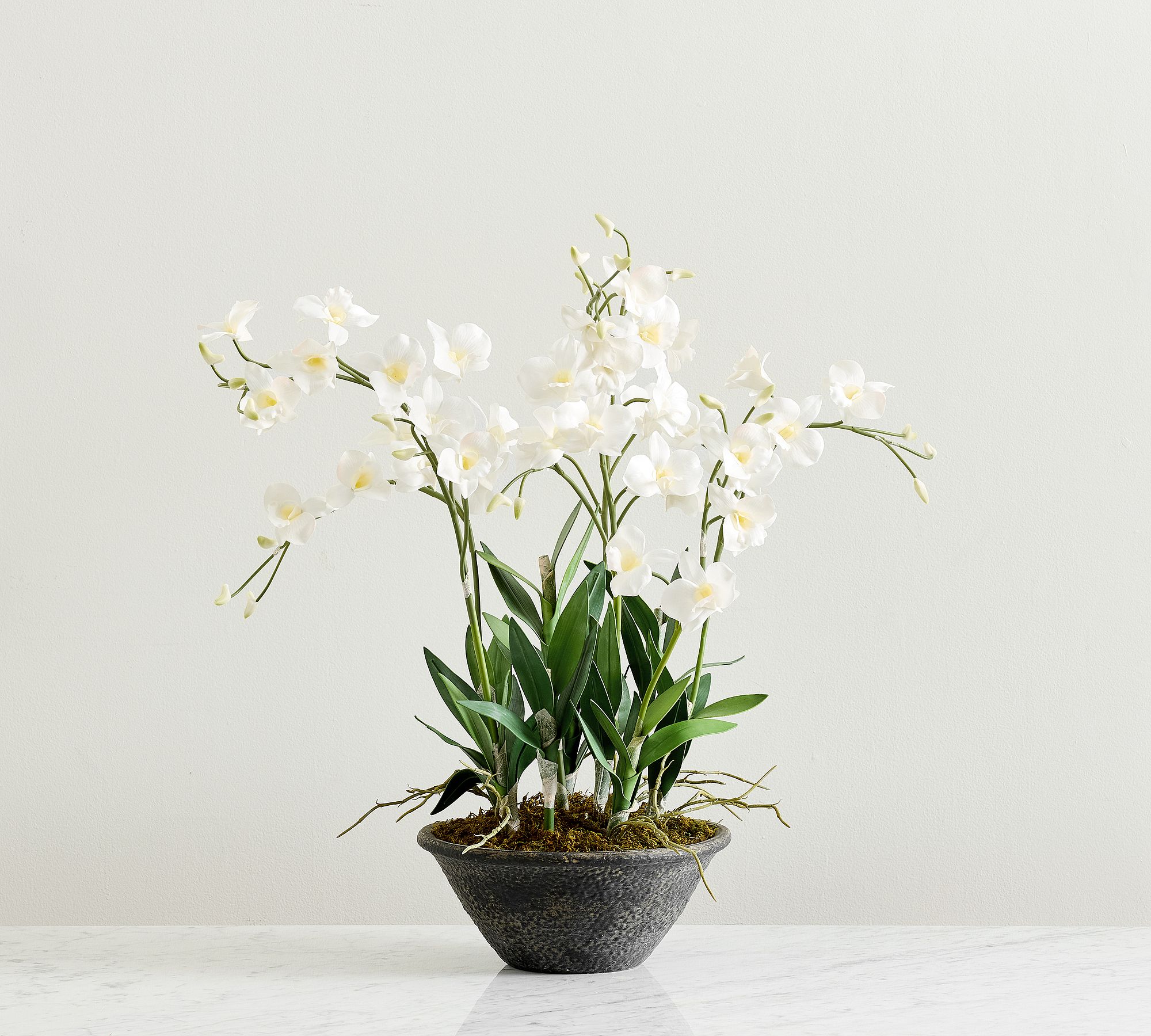 Faux Composed Orchid