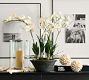 Faux Composed Orchid
