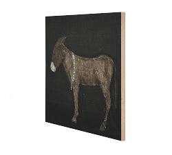 Burro Noche by Paul Meyer