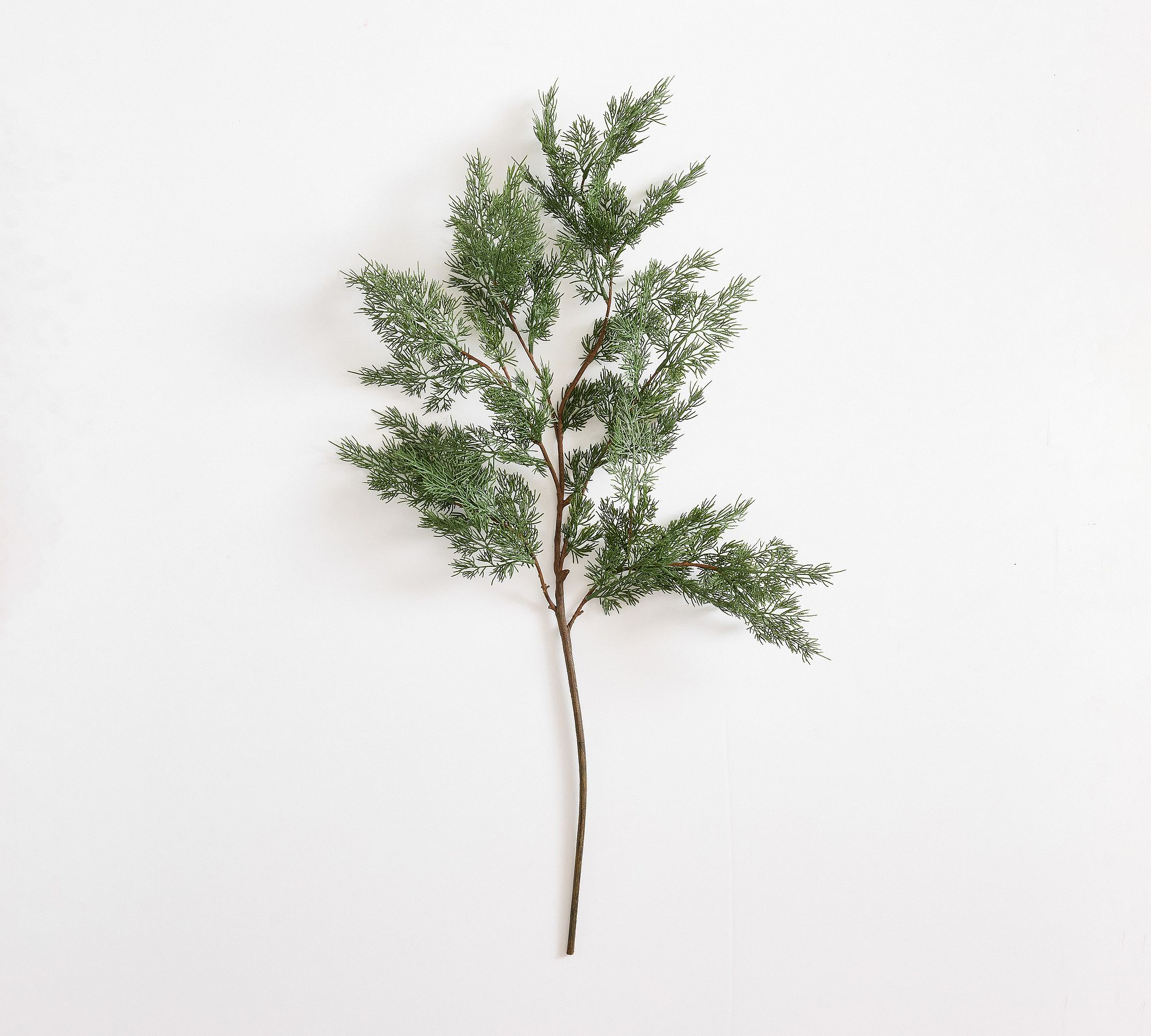Faux Cedar Branch