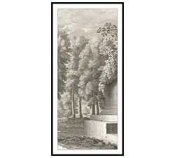 Open Box: Etched Garden Triptych, Frame Print 3 (29" x 61") - Multi,Black