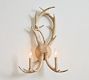 Faux Antler Double Sconce (22")
