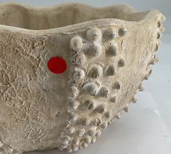 Open Box: Artisan Sea Urchin Bowl, Large (11.75"Diam x 5.75"H) - Natural