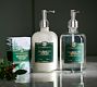 Balsam Fir Vetiver Soap &amp; Lotion