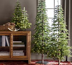 Lit Faux Pine Trees