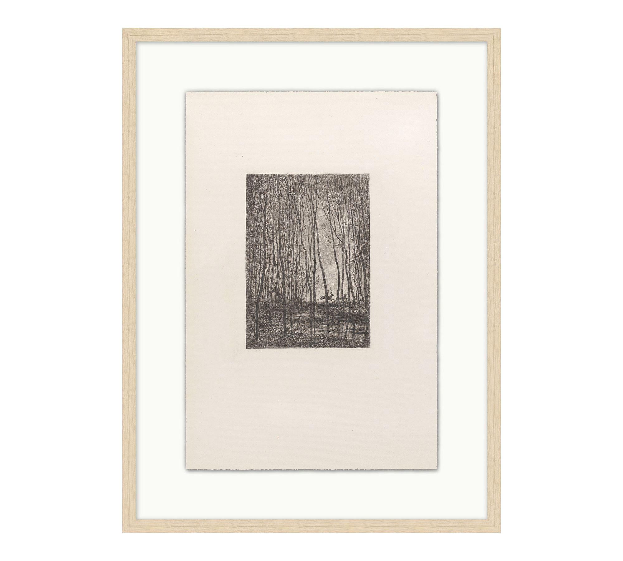 Running Through the Forest Framed Print