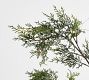Faux Lit Juniper Berry Branch