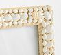 Tava Shell Frames